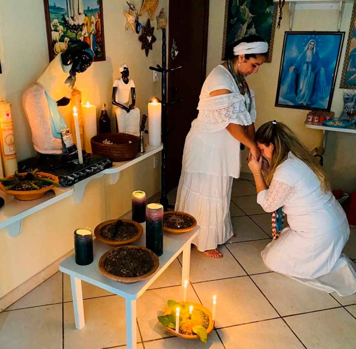 Corto todo tipo de daños