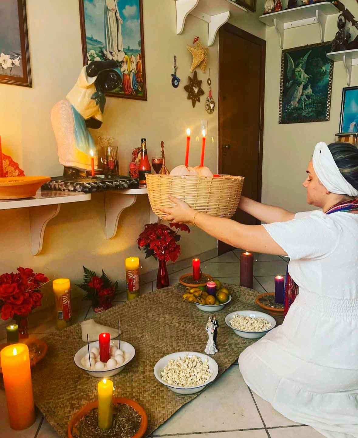 Corto todo tipo de daños